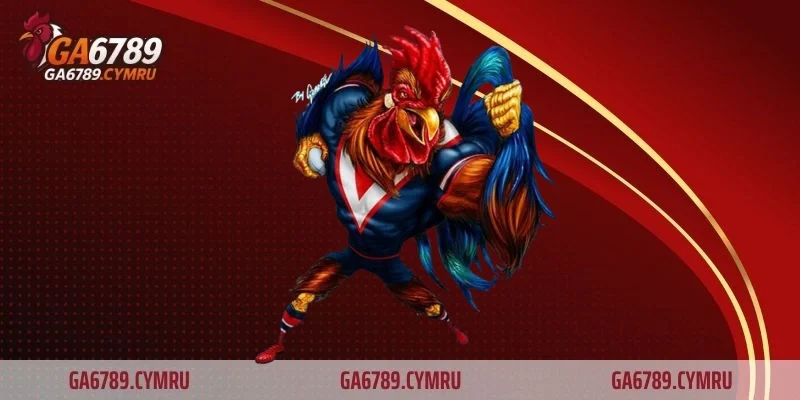 Cách chăm sóc gà bị cựa