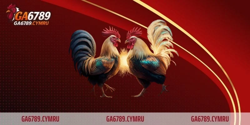 Thanh toán linh hoạt