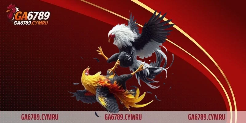 Giới thiệu về thương hiệu cá cược trực tuyến Ga6789